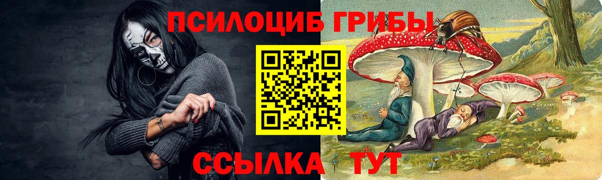 Псилоцибиновые грибы прущие грибы Красноперекопск